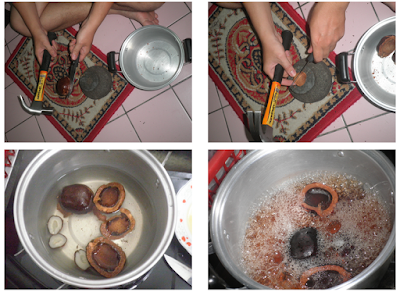 SEPUTAR BUAH ZURIAT SEPUTAR BUAH ZURIAT