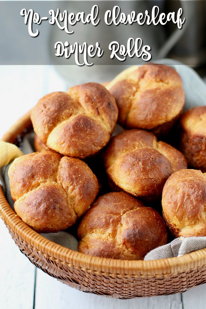 The Softest Cloverleaf Dinner Rolls (VIDEO) 