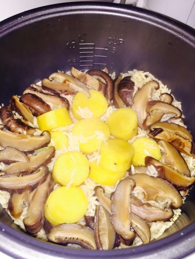 Cook for Allora Steam Japanese Style Rice