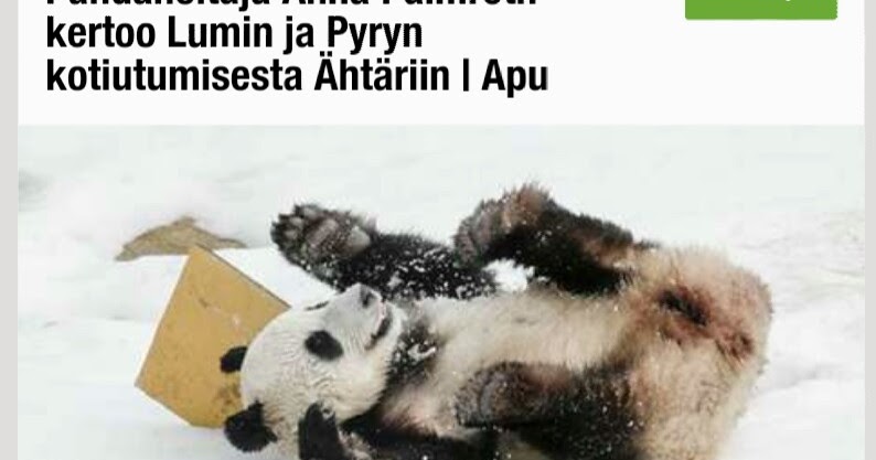 todellinen englanti sukupuoli sisään ähtäri todellinen englanti sukupuoli sisään ähtäri
