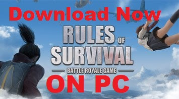 Rules Of Survival PC