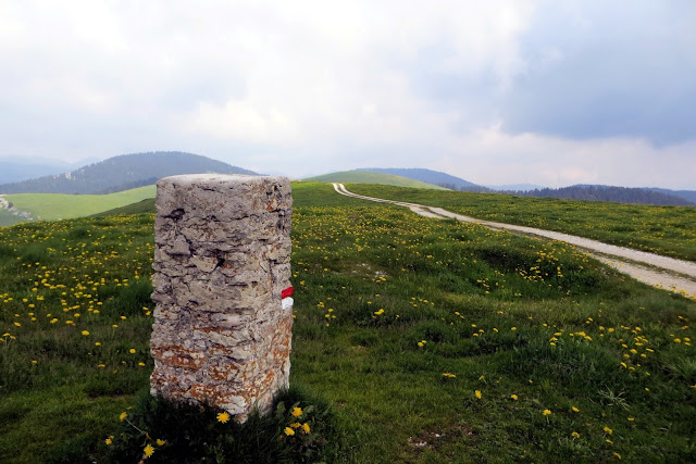 escursione per le malghe sull'altopiano di asiago