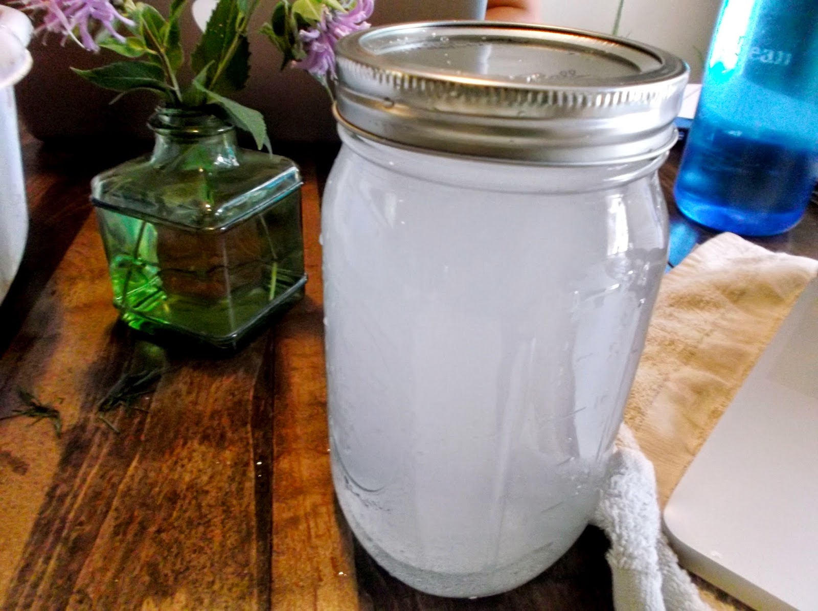 Noelle likes Good Food DIY Airlock for Lactofermentation