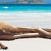 Μια παραλία γεμάτη καγκουρό 