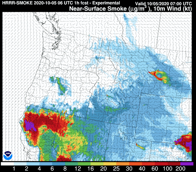 Idaho Smoke Information
