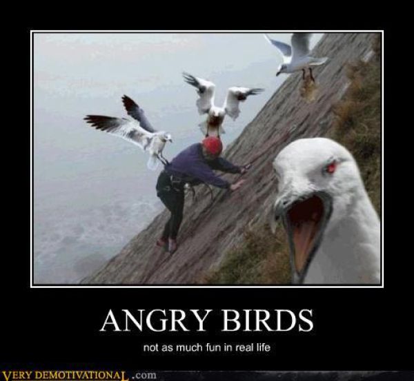 Funny Demotivational Posters - Part 25  Damn Cool Pictures