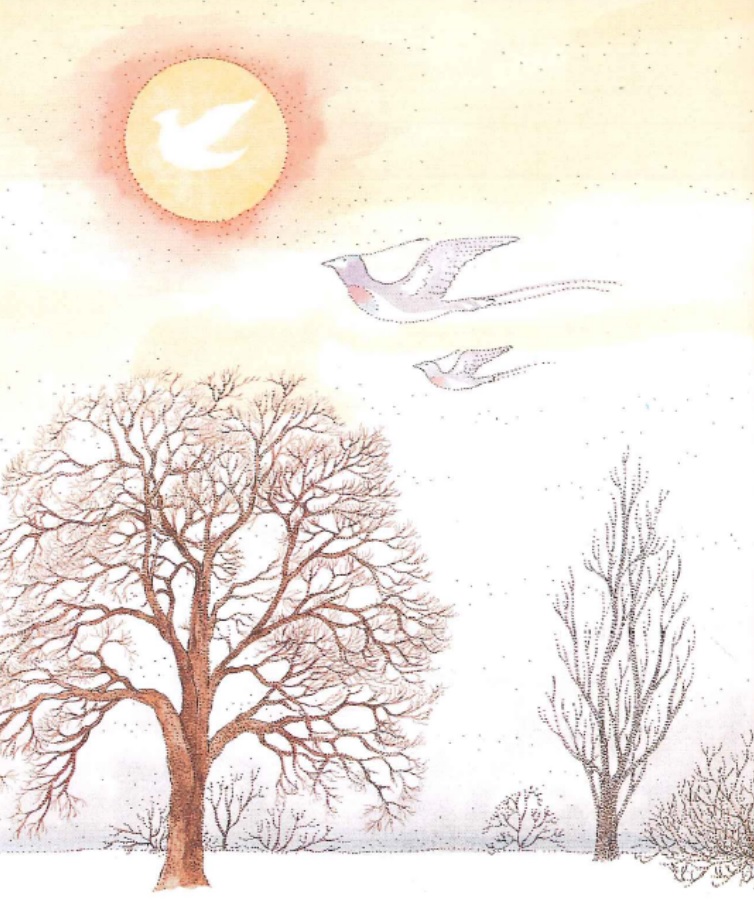 Meeuwen verklaringen wellicht Welkom in klas 5B!: De drie vogels