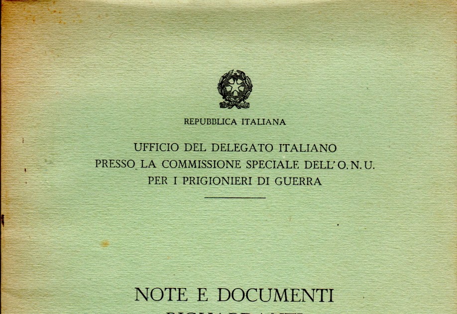 Un italiano in Russia Commissione speciale dell'ONU, parte 1 Un italiano in Russia Commissione speciale dell'ONU, parte 1