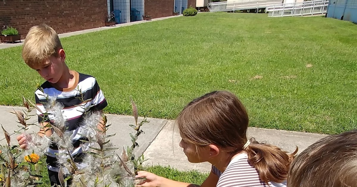 Your Permanent Record Piney Grove Receives Lowe's Grant