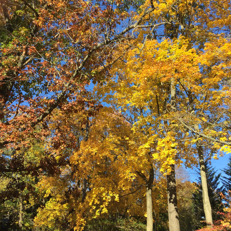 Fun Things To Do In Chester County This Weekend For Families And Kids fun-things-to-do-in-chester-county-this-weekend-for-families-and-kids