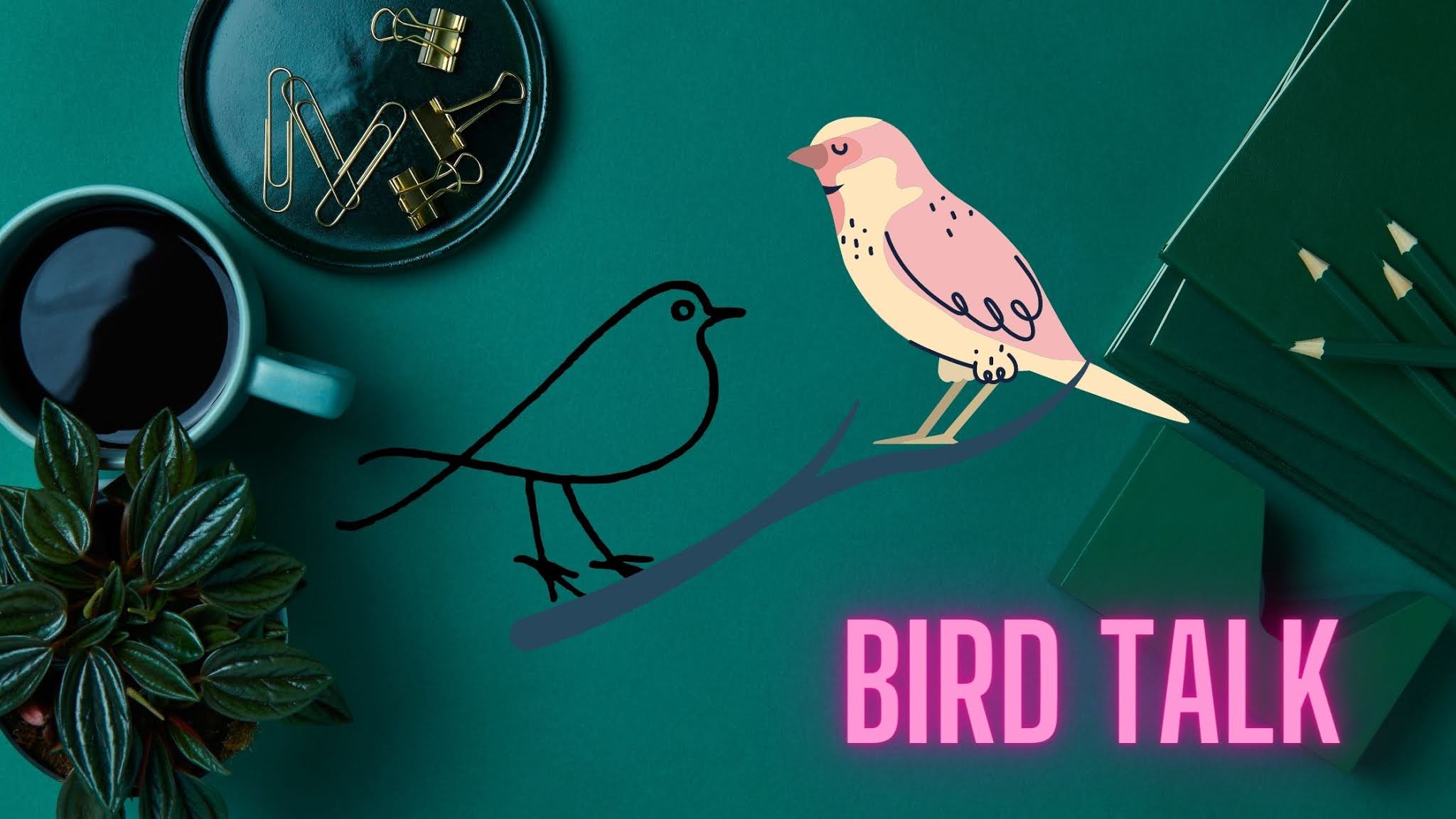 Bird talk. Birds по английски. Bird talk. Poems about birds. Bird talk.