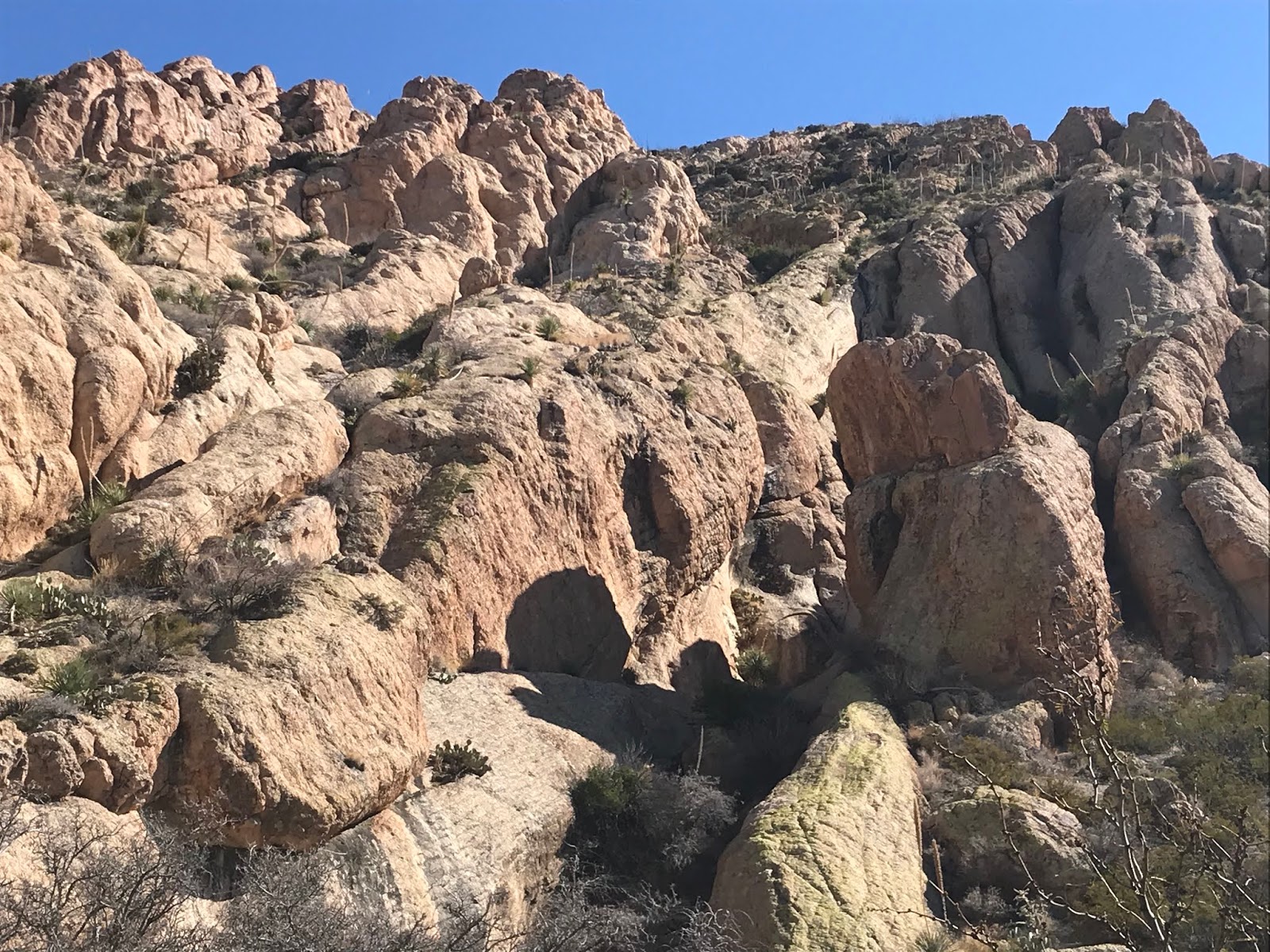 Southern New Mexico Explorer Peña Blanca Organ Mountains Wilderness