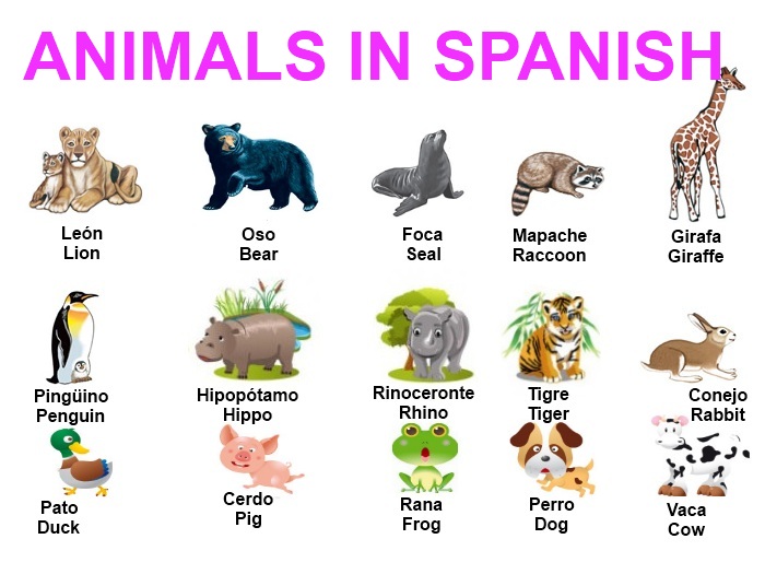 Spanish to English know-how: List of animals in Spanish