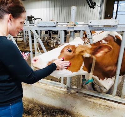 To Dairy or Not to Dairy in a Plant-Based World Weekly Wisdom To Dairy or Not to Dairy in a Plant-Based World Weekly Wisdom