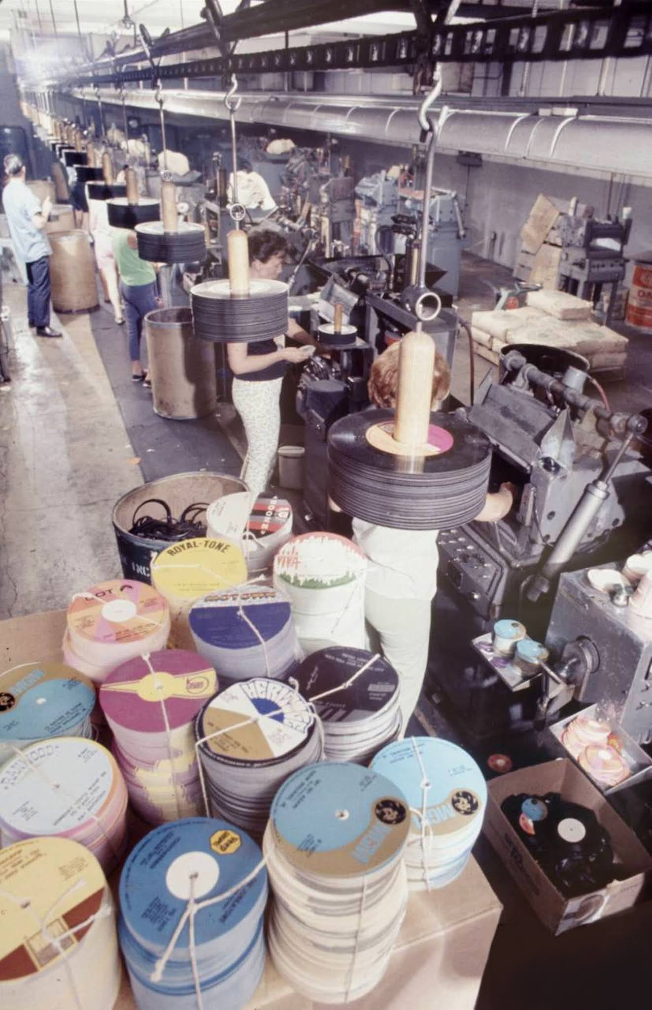 Forestdweller Record Pressing Plant