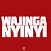 Download Audio | King Kaka – Wajinga Nyinyi Mp3