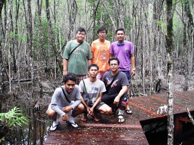 Foto di Tracking mangrove karimunjawa