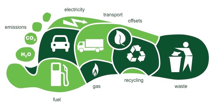 Carbon Footprint Calculator