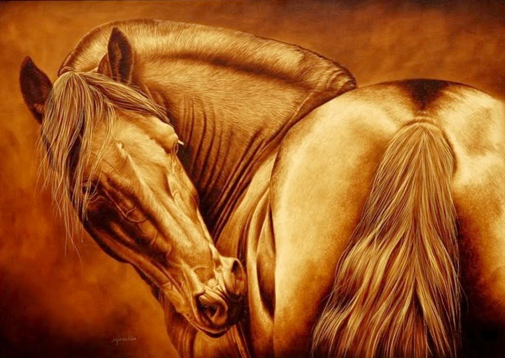 caballos-colombianos-dibujos-a-color