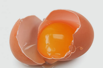 Kandungan Dan Manfaat Kuning Telur Untuk Kesehatan
