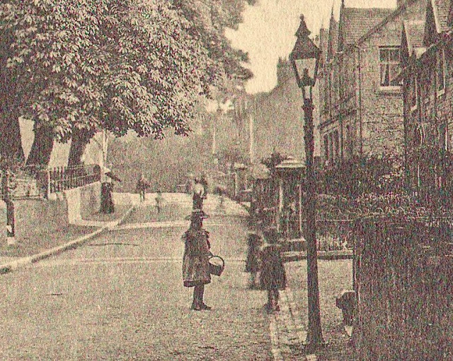 Withnail Books Unseen For a Century? Views of Fairlie, Ayrshire