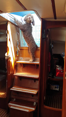 [Imagen: 20190503_151229_Moment.jpg]