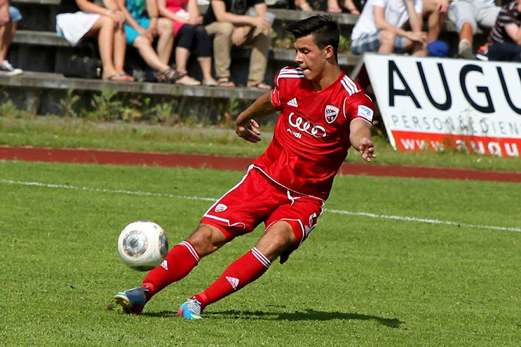 Ingolstadt 13-14 (2013-14) Home Kit Released - Footy Headlines