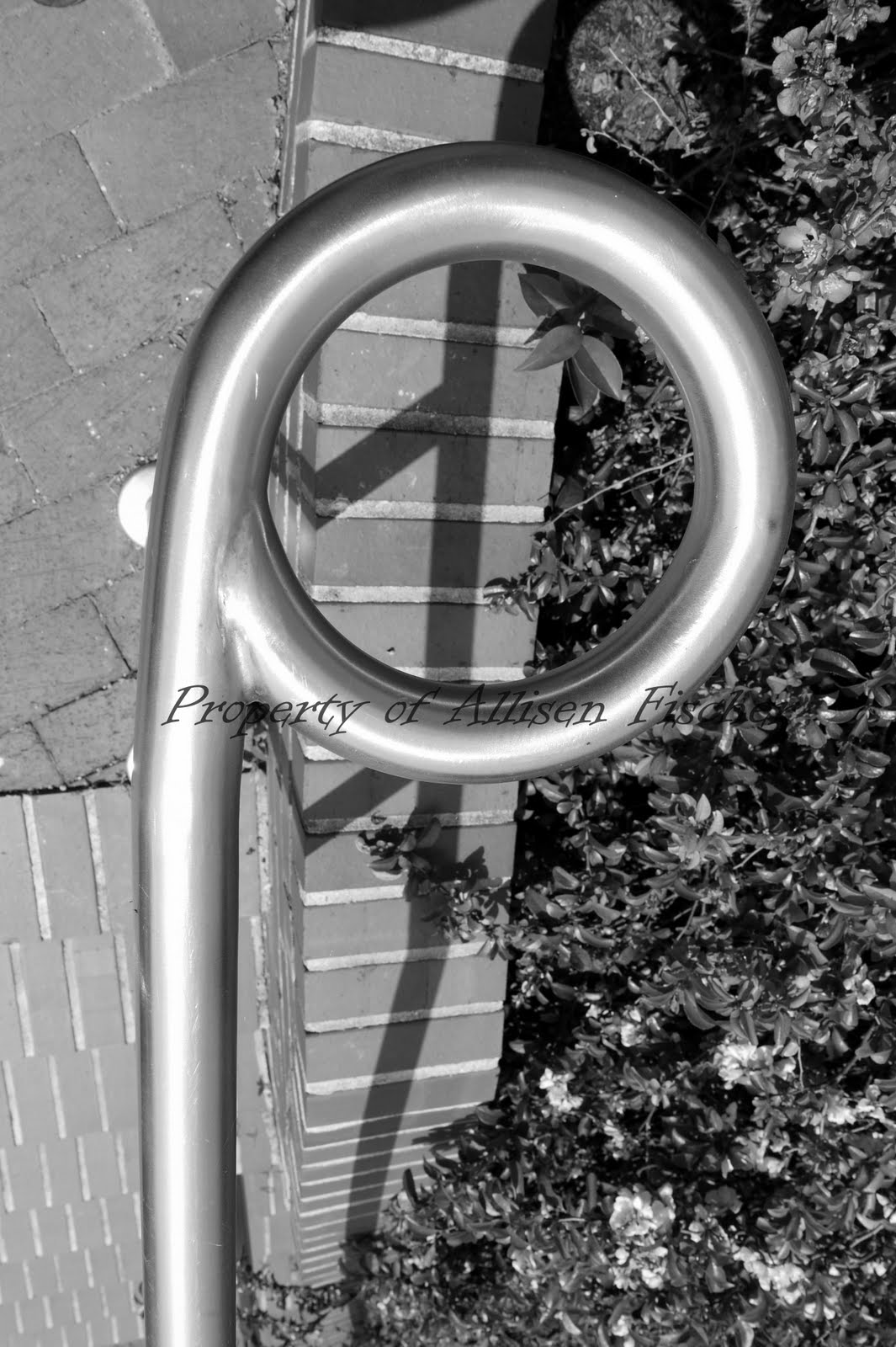 Lettography (Letter Photography): P