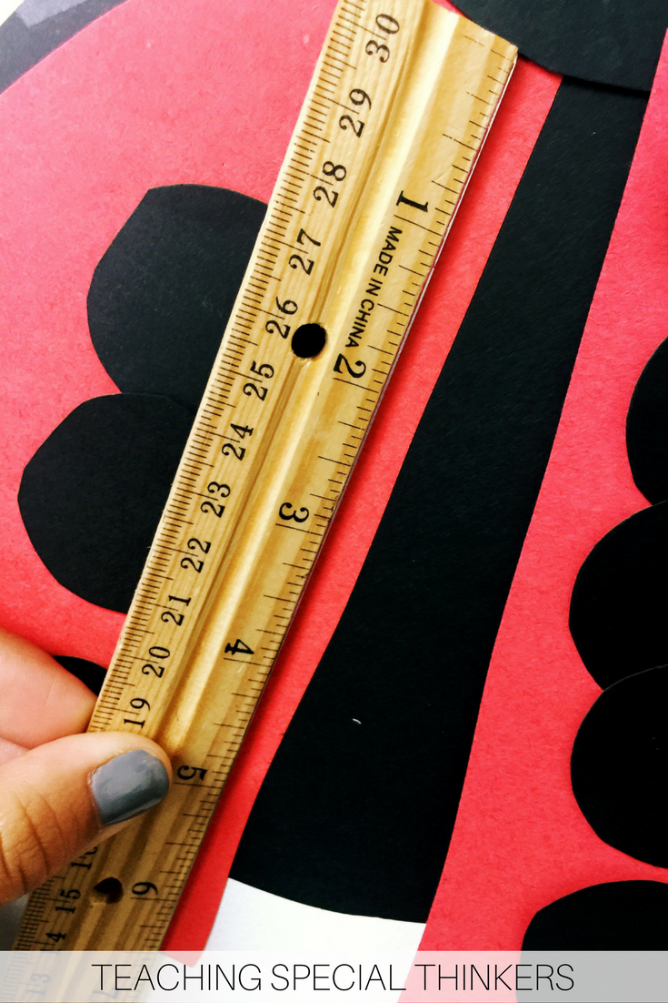 Ladybug Length Measurement Creativity