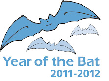 2011-2012 Año del Murciélago
