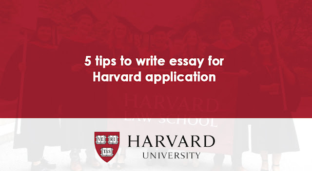 harvard essay application