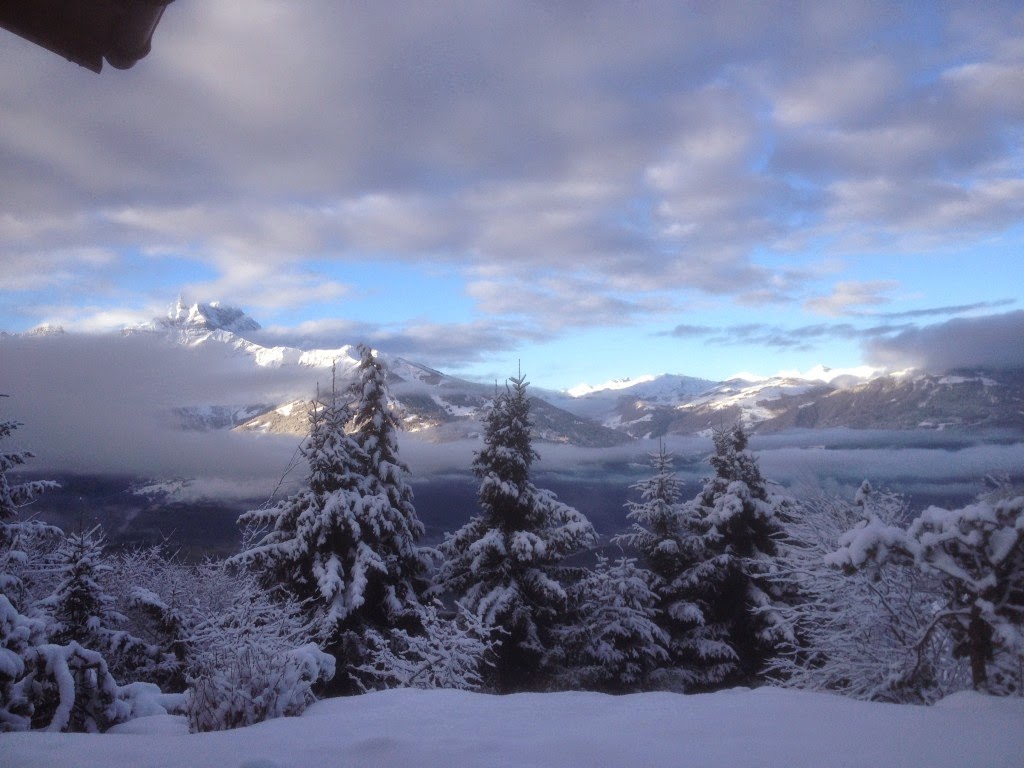 Zahedi/Mackay RealEstate Staging design/build/development. SWISS CHALET, Stunning Views, 25