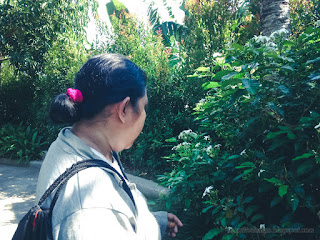 Woman Traveler Enjoy The Beauty Of Plants In The Beautiful Garden In The Morning At The Village Tangguwisia North Bali Indonesia