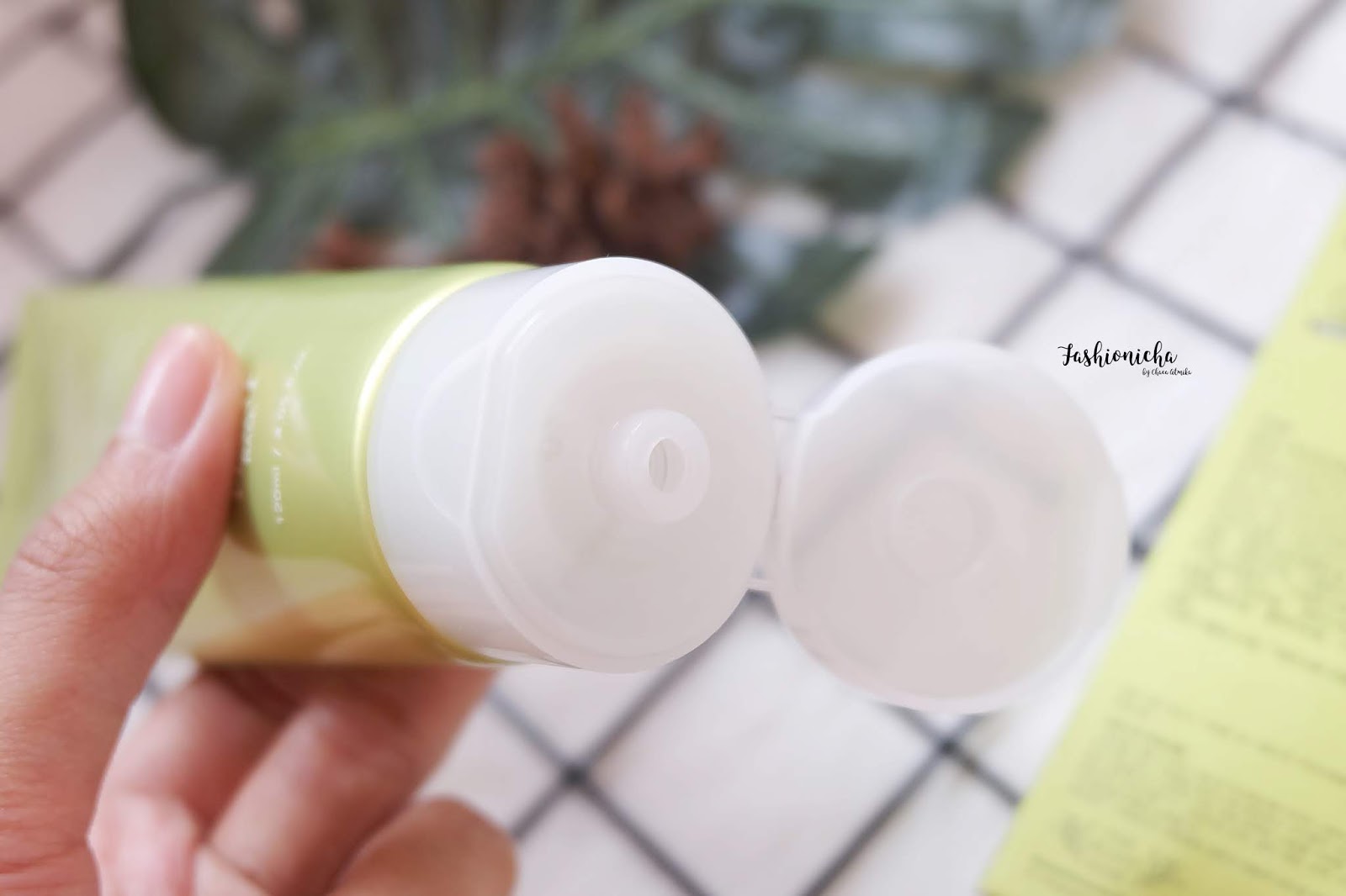 Review: The Plant Base Nature Solution Natural Cleansing Foa