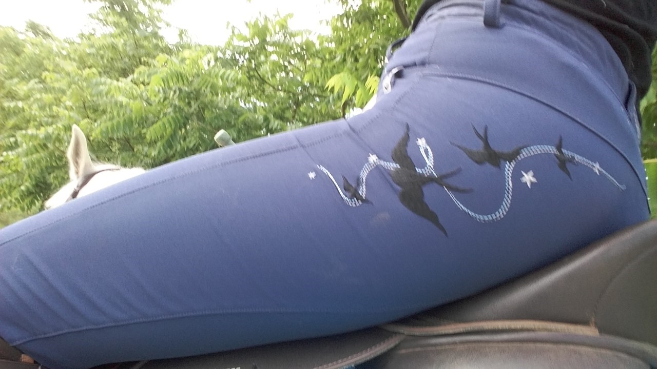 LB Equestrian [Product Review] Aztec Diamond Breeches