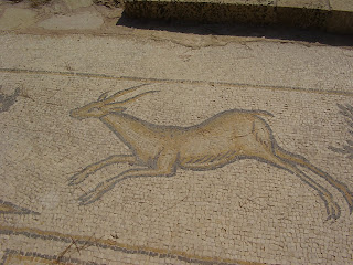 Kayserya, İsrail'de ceylan Bizans dönemi mozaiği