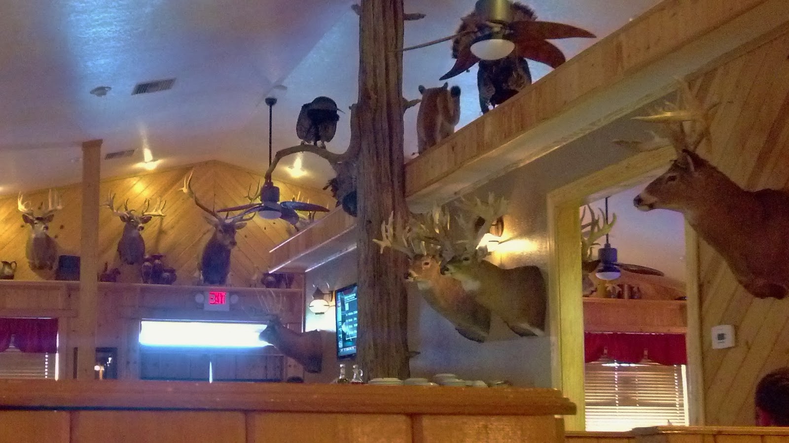 Smoked Pig and Sweet Tea Big Wood BBQ and Grill Live Oak, FL