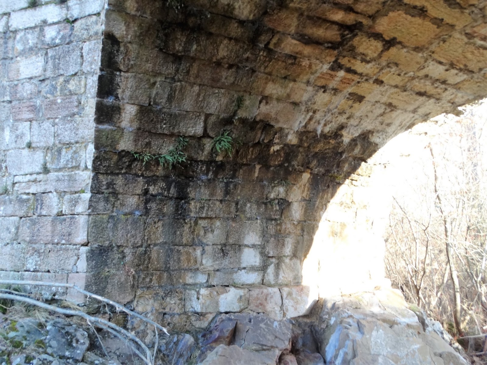 CAZANDO PUENTES PUENTE DE PUENTE DE ALBA. León