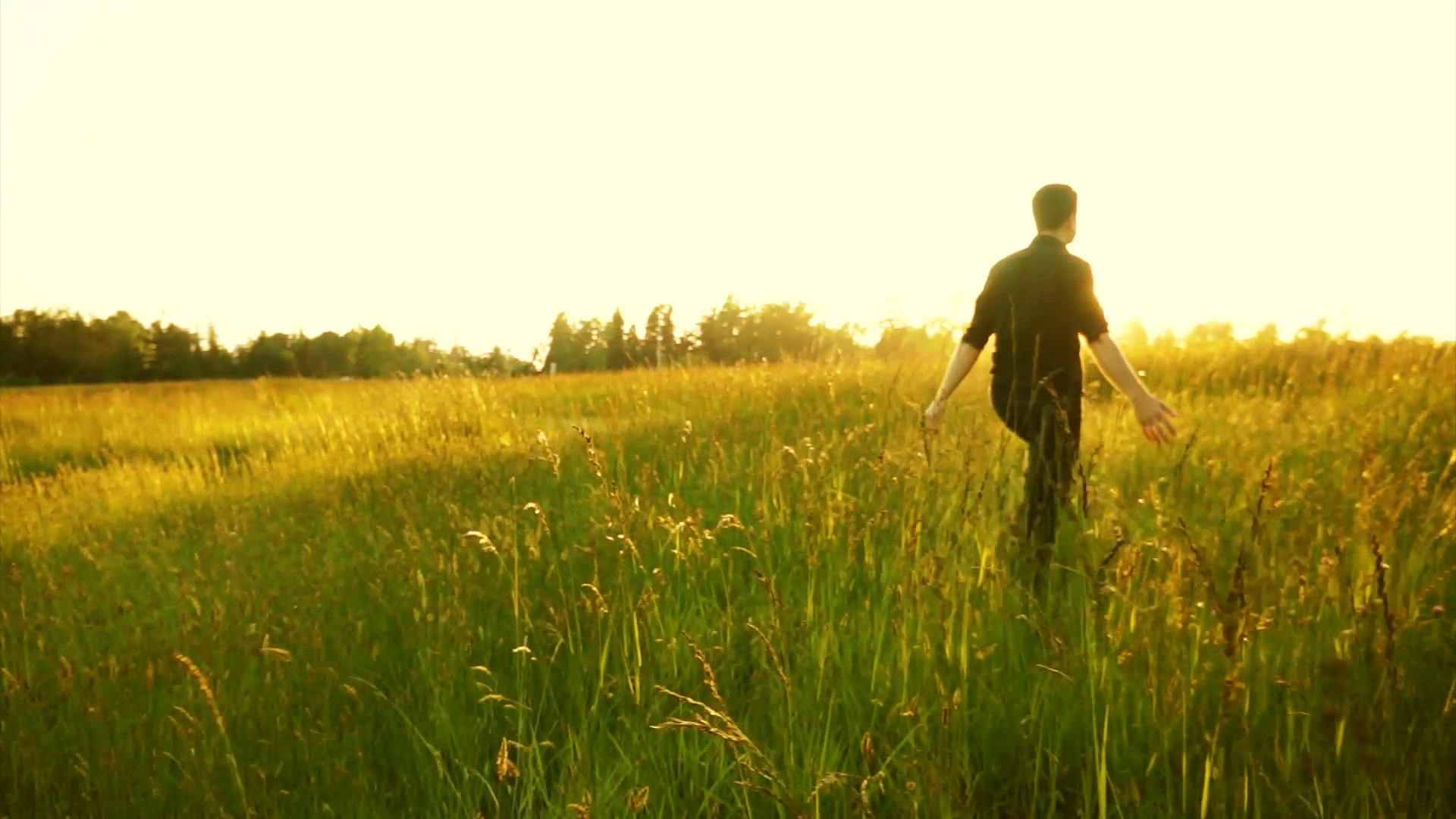 The knowing field. Man in field. Природа личности. Walking man. In the field.