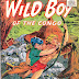Wild Boy of the Congo #14 - Matt Baker cover