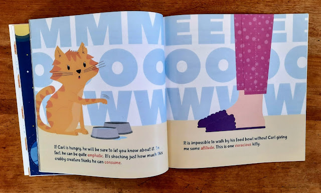 Expand your vocabulary and learn how to use a glossary with the children's book Carl the Cantankerous Cat by Donna Paul and Karen Patel.