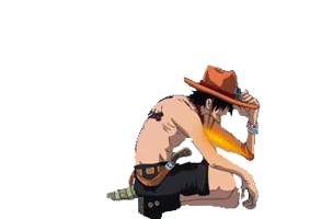 Animation heroes Portgas D ACE Animation heroes Portgas D ACE