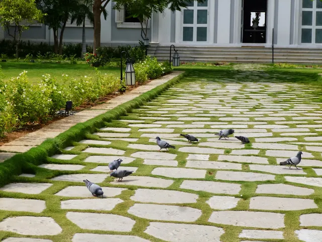 Falaknuma Palace pictures: pigeons in the courtyard