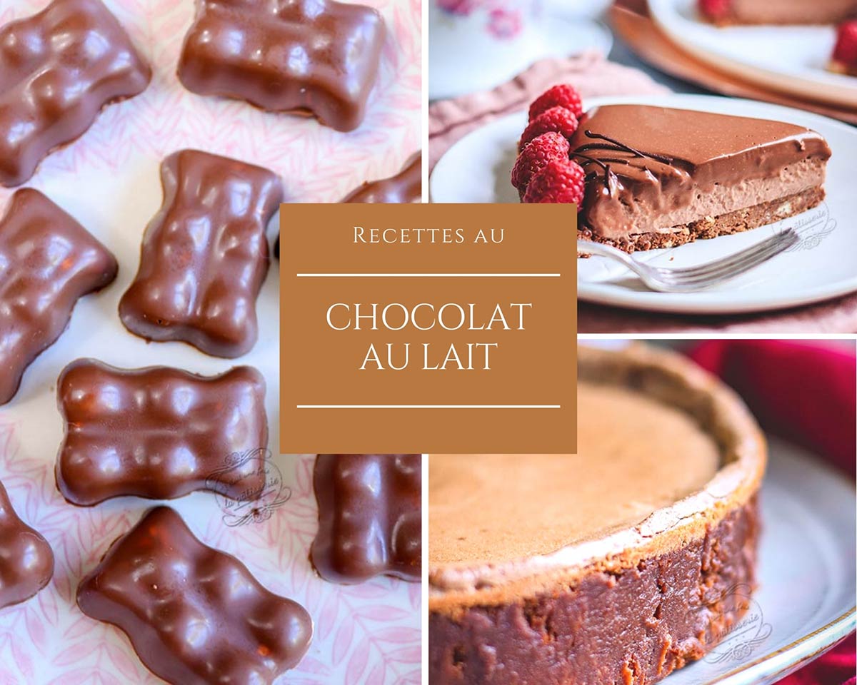 Desserts chocolat de Noël : Recettes de desserts au chocolat pour Noël -  Elle