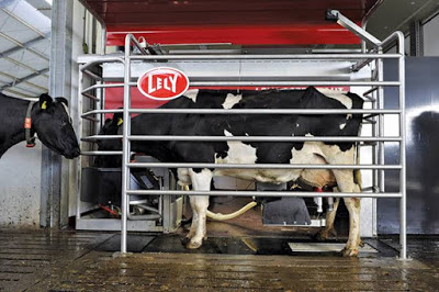 Milking Milking