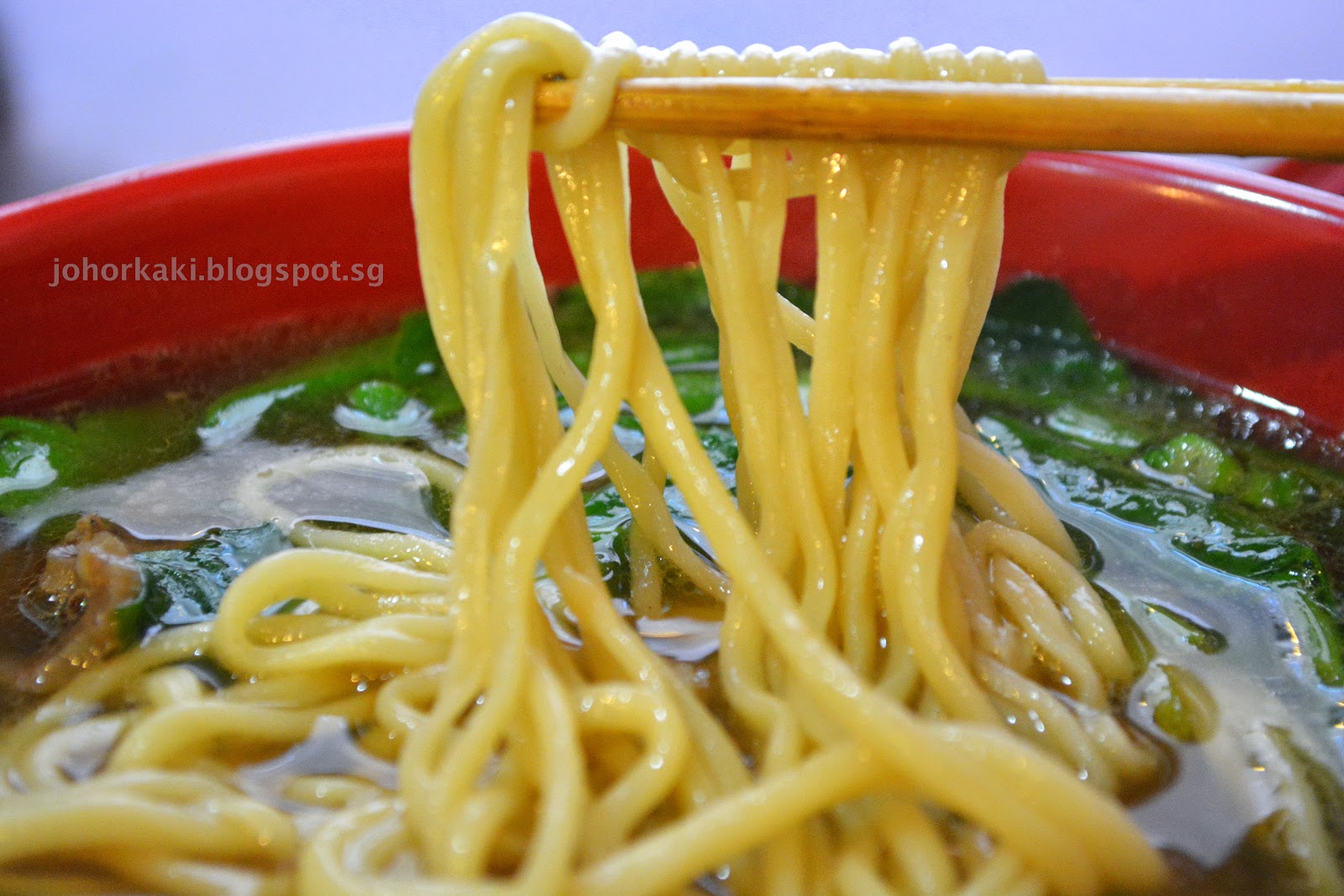 Tasty HandPulled Noodles in Chinatown NYC New York 清味蘭州拉麵 Johor Kaki