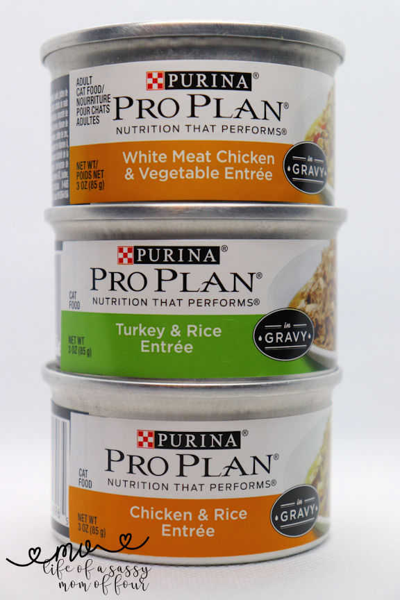 Purina Pro Planned Canned Cat Food