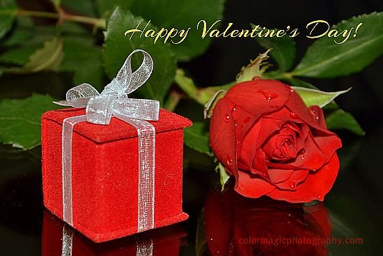 Happy Valentive's Day!