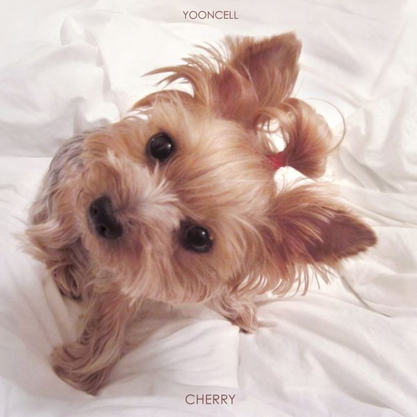 YOONCELL – Cherry – Single