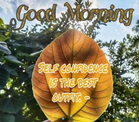 Good Morning Quotes Download || Good morning Quotes download for WhatsApp Good Morning Quotes Download || Good morning Quotes download for WhatsApp